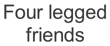 Four legged  friends